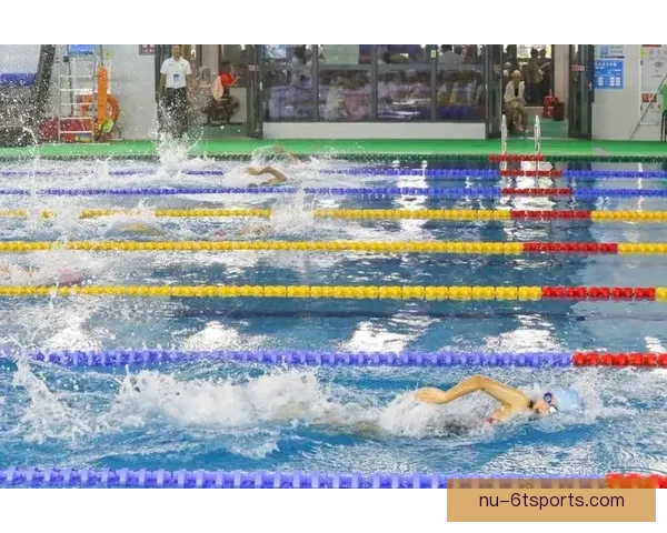全方位视角下的游泳赛事精彩回放