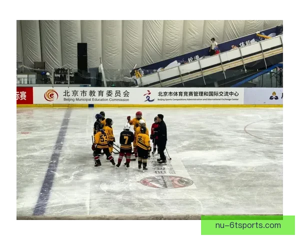 冰球冠军的辉煌历程和背后故事