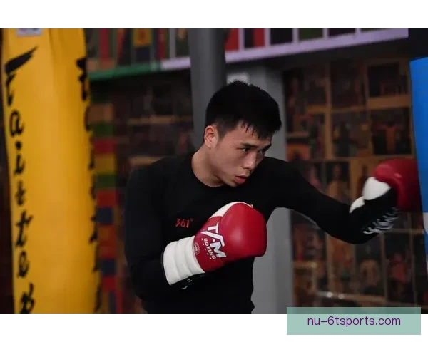 拳击数据分析：挖掘胜负密码，解析擂台奥秘