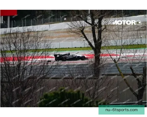 掌握F1底盘调校技巧，优化赛车性能